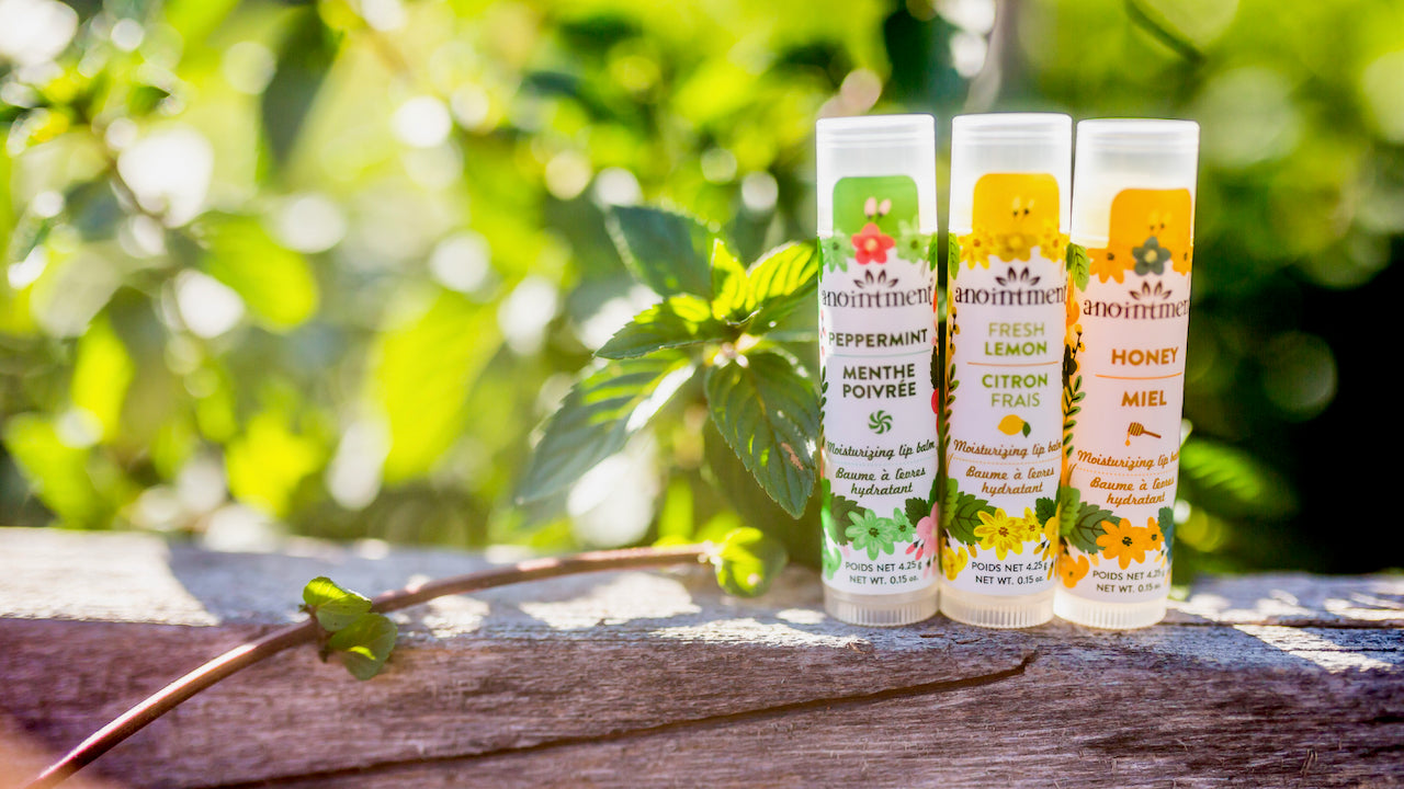 Baume à lèvres