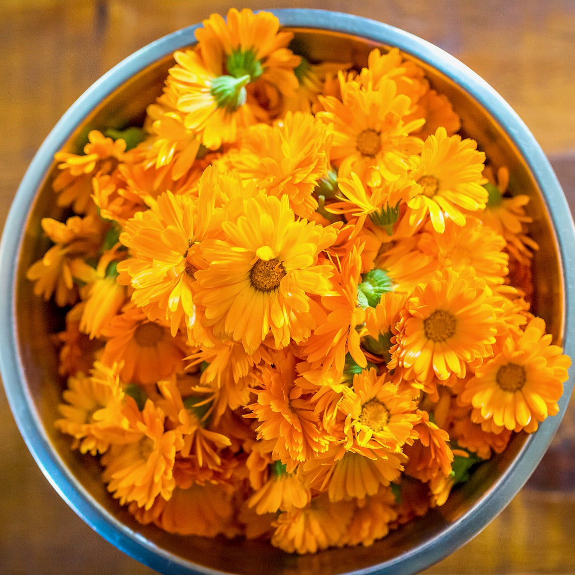 Calendula Soap