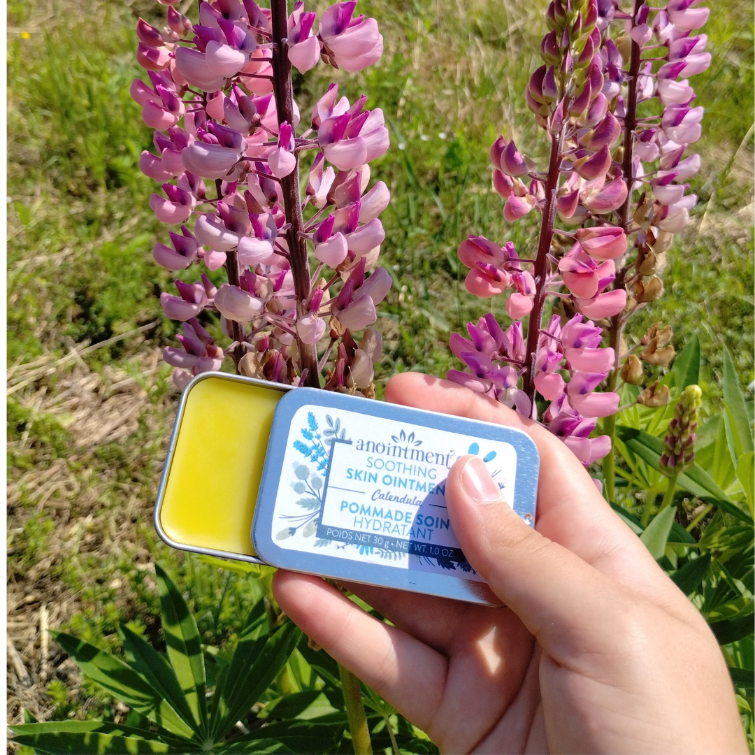 ÉDITION LIMITÉE! Boîte de pommade apaisante pour la peau