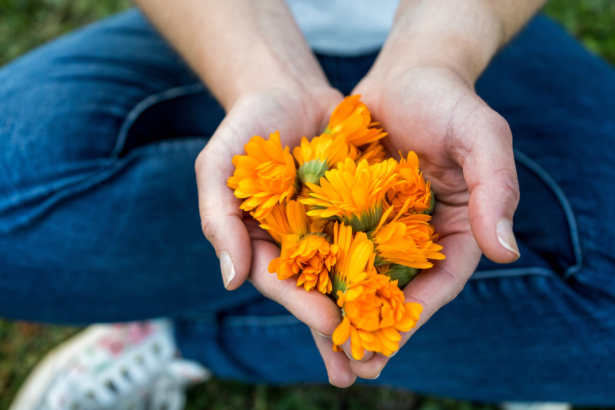 Calendula Zero Waste Soap Log